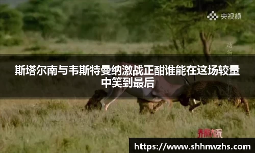 金年会