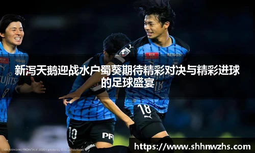 新泻天鹅迎战水户蜀葵期待精彩对决与精彩进球的足球盛宴